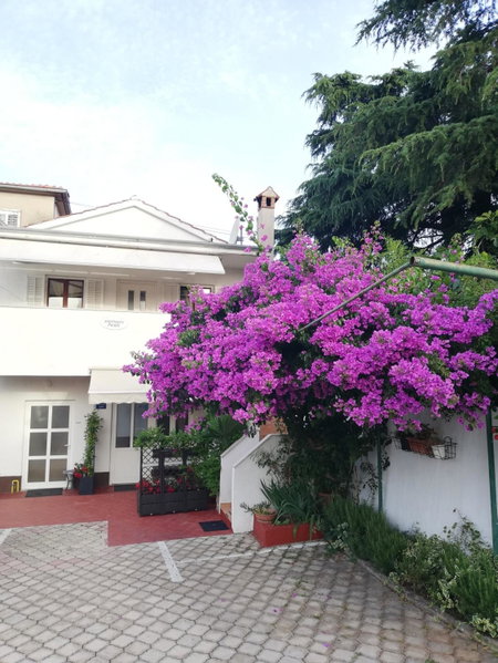 Apartments Poretti for 2,in Center Parking Free in the yard,6 min beach walk, Rovinj, Croatia