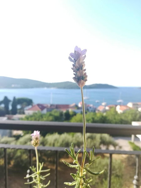A lovely and cozy room with a breathtaking view, Vis, Croatia