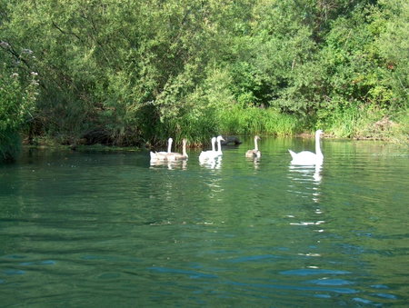 Mrežnički kutak, Duga Resa, Croatia