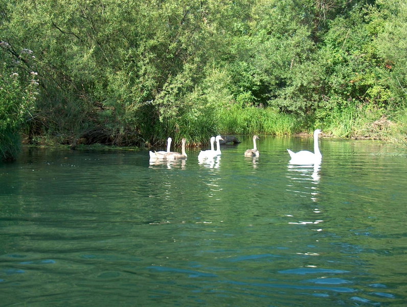 Mrežnički kutak, Duga Resa, Croatia
