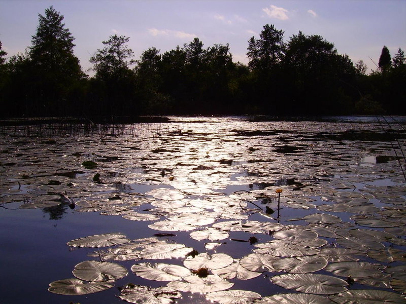 Mrežnički kutak, Duga Resa, Croatia