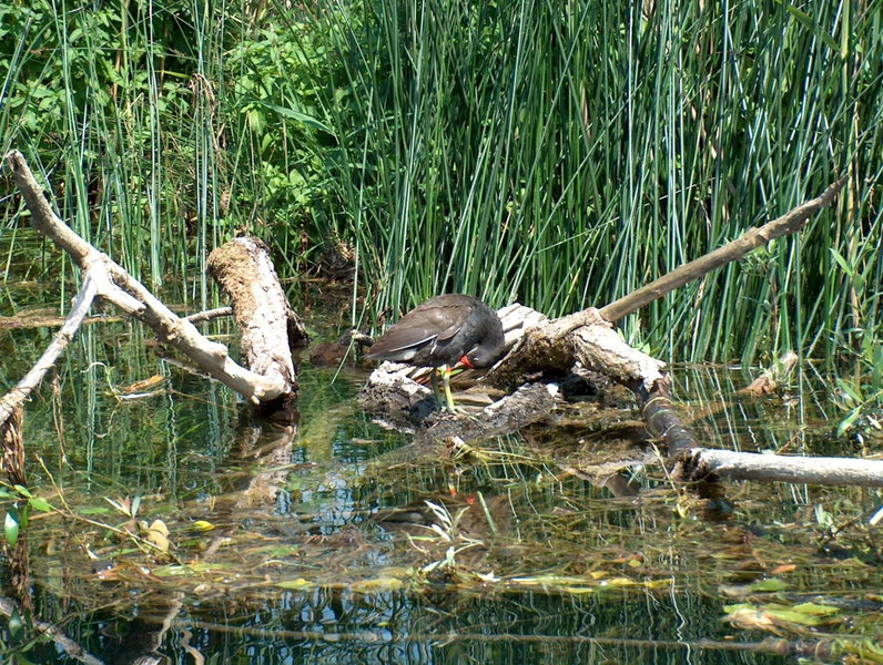 Mrežnički kutak, Duga Resa, Croatia
