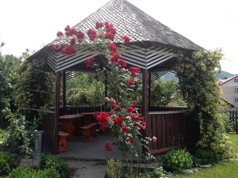 Pensiunea Ambiance, Piatra Neamţ, Romania