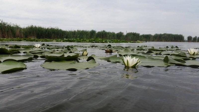 Peninsula Resort & Aqua SPA, Murighiol, Romania