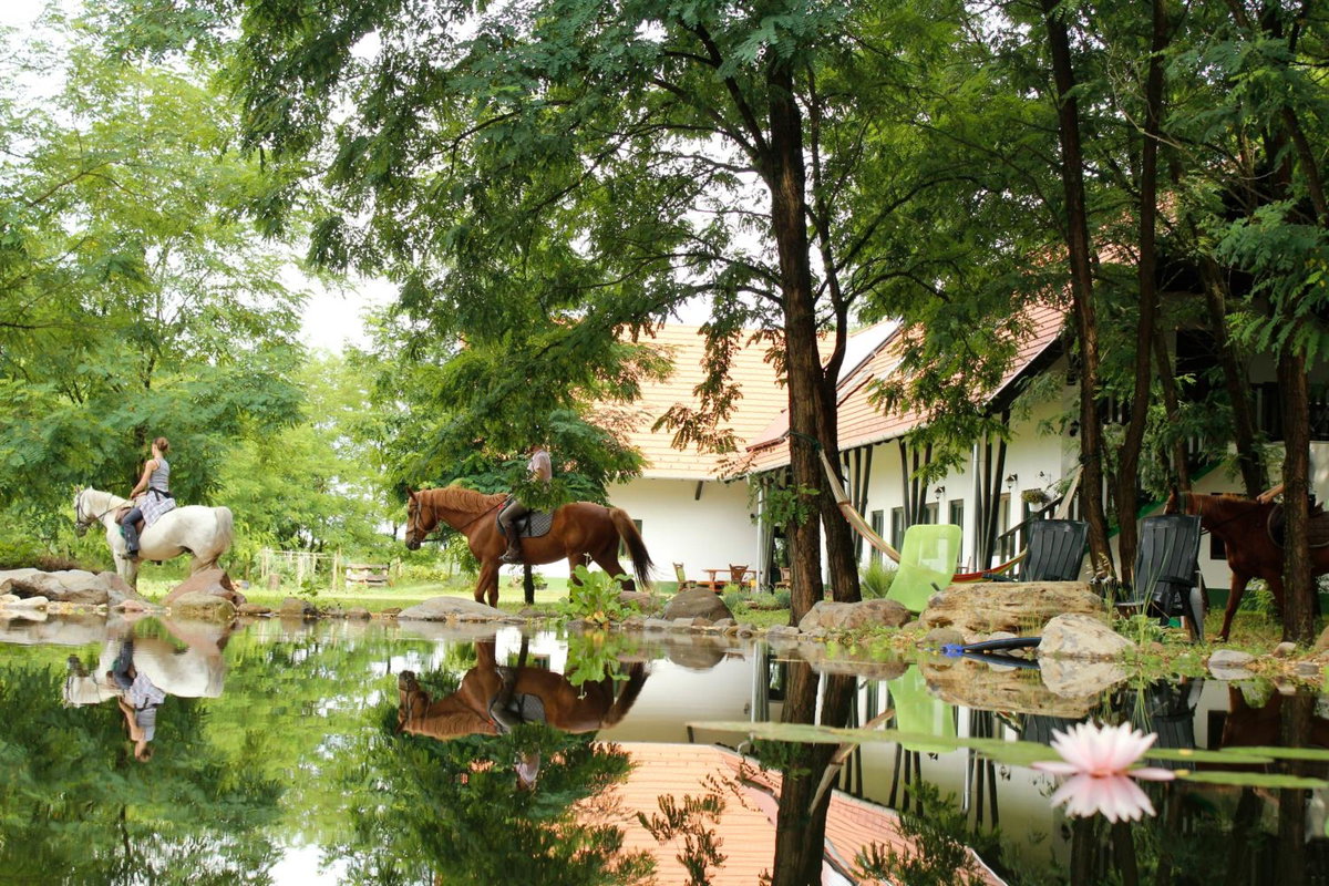 Hotel · Hunor Lovastanya, Kunbaracs
