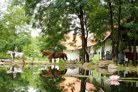 Hunor Lovastanya, Kunbaracs, Hungary