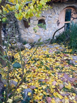 Fűtetős Dombház, Üröm, Hungary