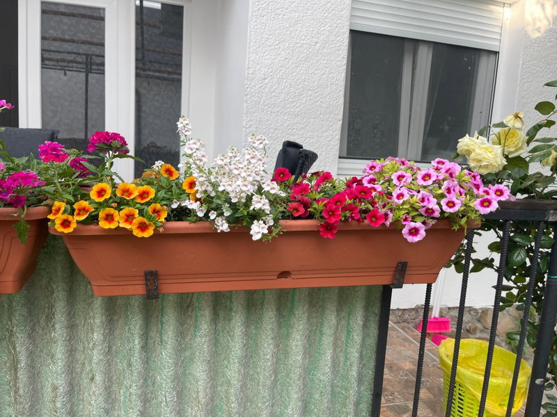 Valentina apartman, Balatonmáriafürdő, Hungary