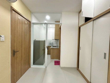 Apartment for rent in Ho Chi Minh City, Vietnam · District 2 - Thao Dien / An Phu · 1 room, 1 bath