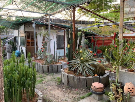 Cactos Chill & Homestay, Ho Chi Minh City, Vietnam