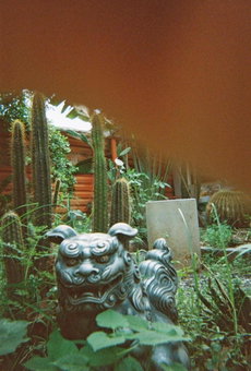 Cactos Chill & Homestay, Ho Chi Minh City, Vietnam