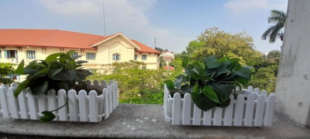 Ba Dinh Le rêveur Homestay, Hanoi, Vietnam