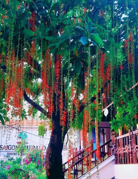Saigon Emerald Beach Resort, Mui Ne, Vietnam