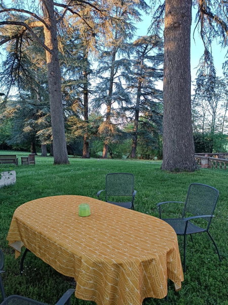 Le Jardin Des Cèdres, Lavaur, France