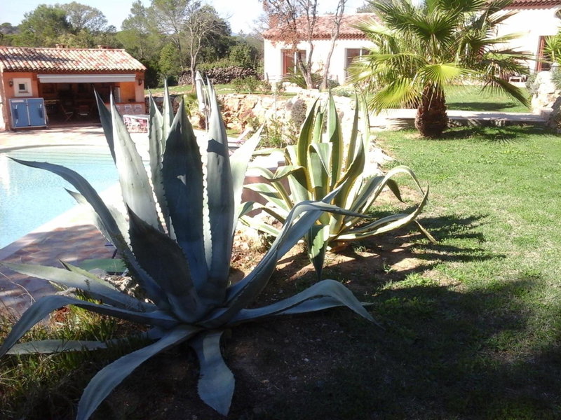 Mas des Lys, Roquebrune-sur-Argens, France