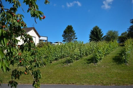 Le Clos du Moulin, Vaudemange, France