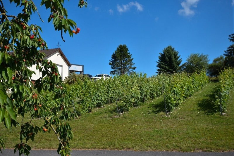 Le Clos du Moulin, Vaudemange, France