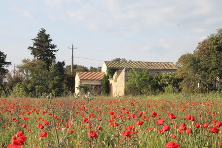 Le Mas De La Seuve, Richerenches, France
