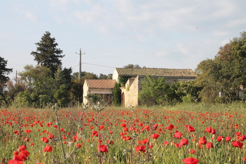 Le Mas De La Seuve, Richerenches, France