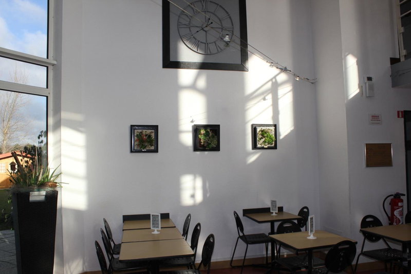B&B HOTEL Berck-sur-Mer Rang-du-Fliers, Berck-sur-Mer, France