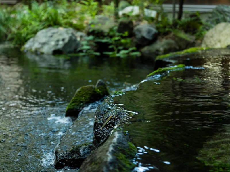 Japanese Onsen Ryokan Kohakuen, Fuefuki, Japan