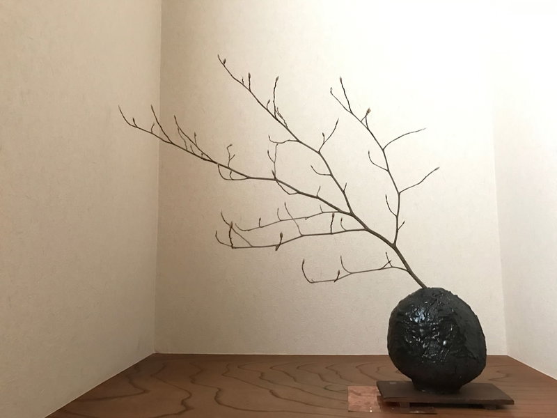 Sayama Aesthetics School, Osakasayama, Japan