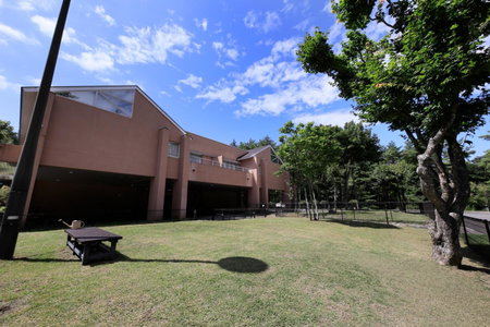 Yutorelo Tateshina Hotel with DOGS, Chino, Japan