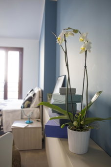 Aurum Aparthotels Bicocca, Milan, Italy