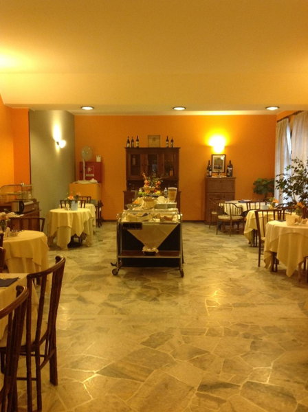 Aer Hotel Malpensa, Oleggio, Italy