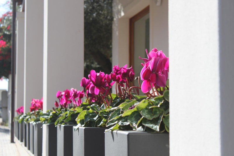 Hotel Angedras, Alghero, Italy