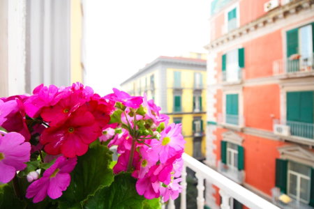 Le Quinte del Bellini, Naples, Italy