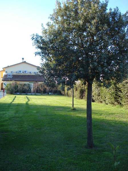 Residenza Serristori, Castiglion Fiorentino, Italy