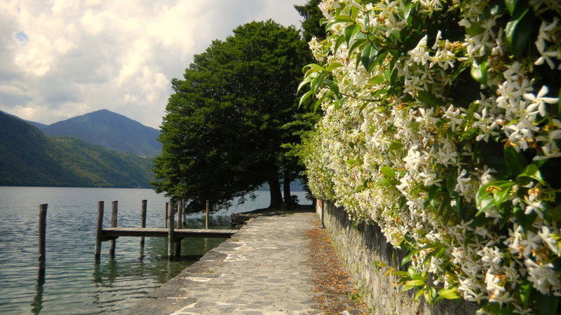 Il Nido del Pettirosso, Borgomanero, Italy