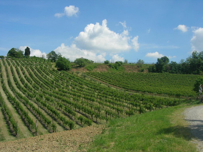 Agriturismo Gaggioli Borgo Delle Vigne, Zola Predosa, Italy
