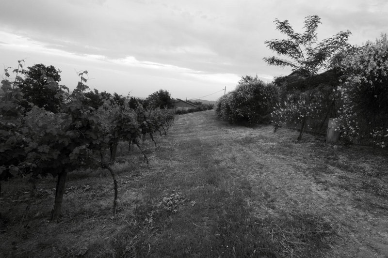 Agriturismo Gaggioli Borgo Delle Vigne, Zola Predosa, Italy