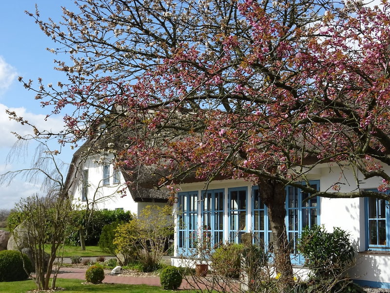 Landhotel Kastanienallee, Putbus, Germany