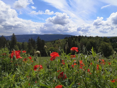 Hotel Schöne Aussicht, Masserberg, Germany