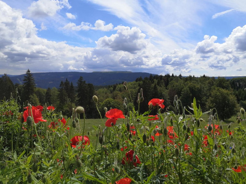 Hotel Schöne Aussicht, Masserberg, Germany