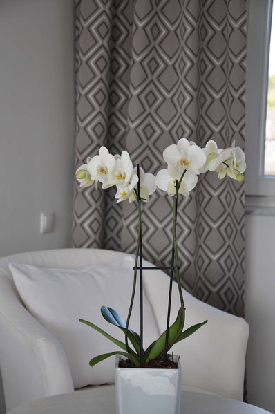 Hotel-Restaurant Zur Post, Bonn, Germany