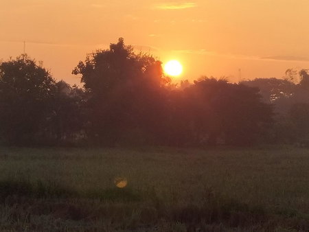 ต้งโฮมหละปูน, Lamphun, Thailand