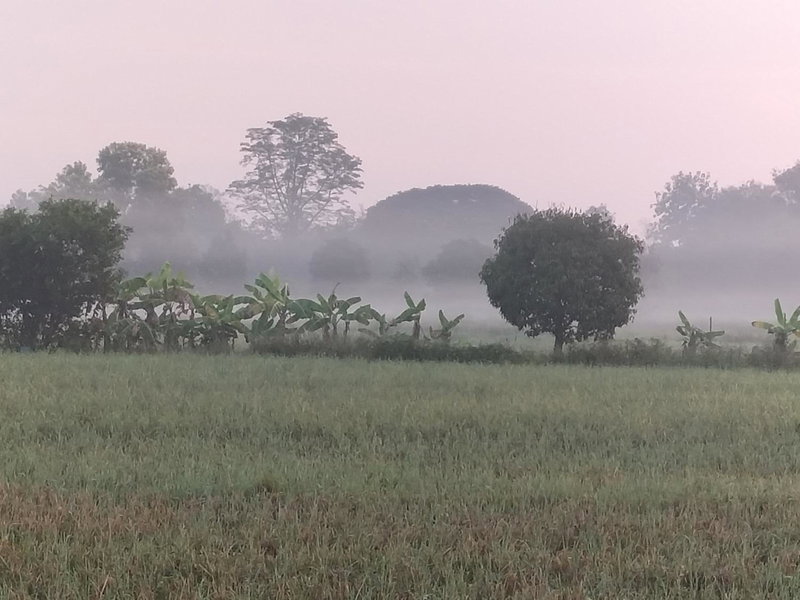 ต้งโฮมหละปูน, Lamphun, Thailand