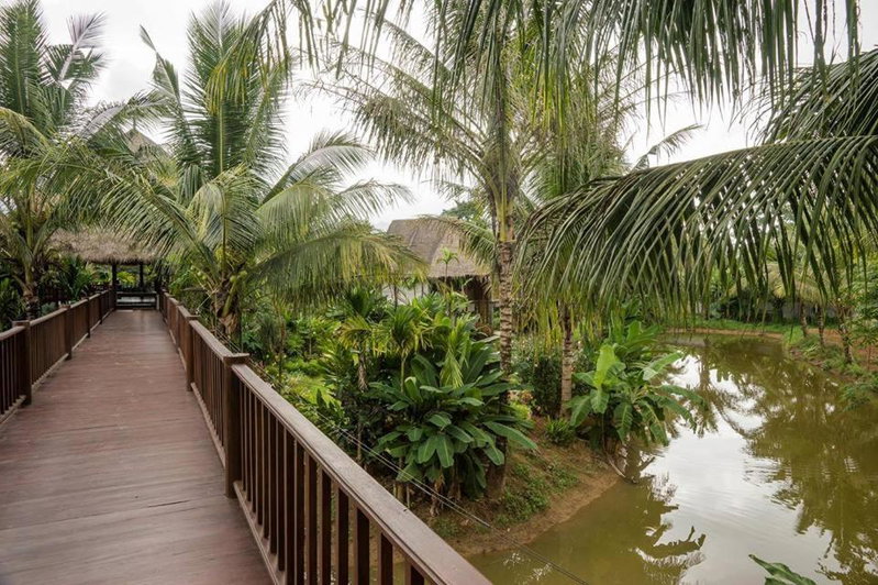 Orchard Pa La U, Ban Pa Lau, Thailand
