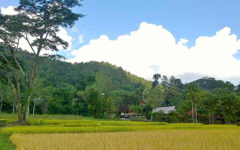 Bulunburi Resort, Ban Pong, Thailand