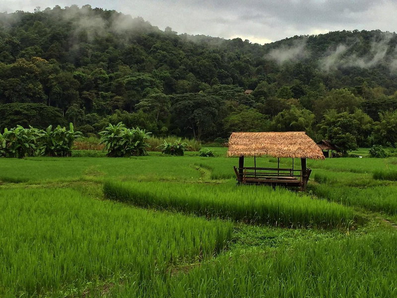 Bulunburi Resort, Ban Pong, Thailand
