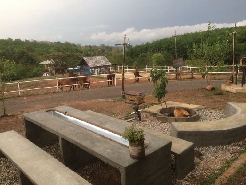 Monsamkien Farmstay, Phayao, Thailand
