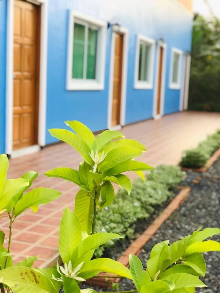 Hotel · นิวเวฟภูเก็ต, Ban Na Kok