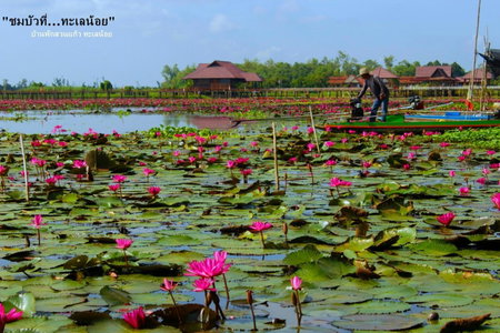 Banpak Suankaew Talaynoi, Phatthalung, Thailand