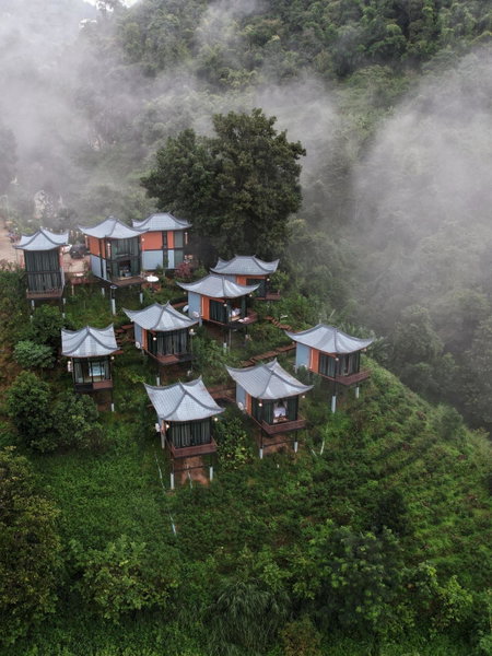 Twins Farm, Mae Salong, Thailand