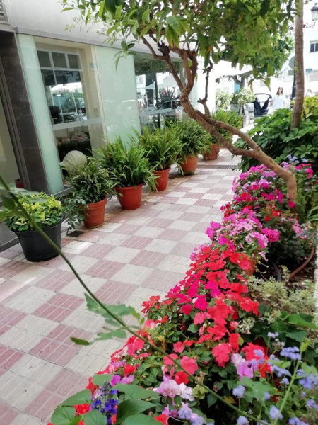 Hotel Avenida 31, Marbella, Spain