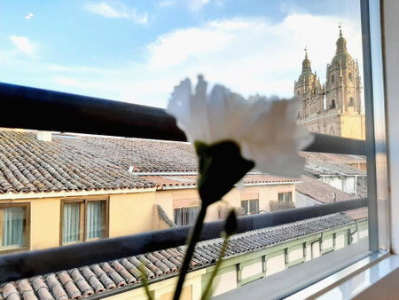 Apartamentos Celestina by gaiarooms, Salamanca, Spain
